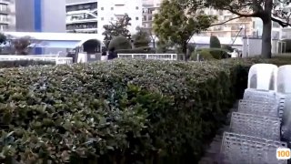 第九电影在线观看午夜⭕❌亚洲精品99久久久久中文字幕